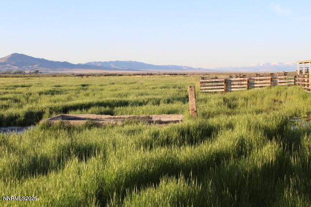 13405 Chimney Dam Road Paradise Valley, NV 89426 - Photo 14 of 90 a view of a lush green and green space