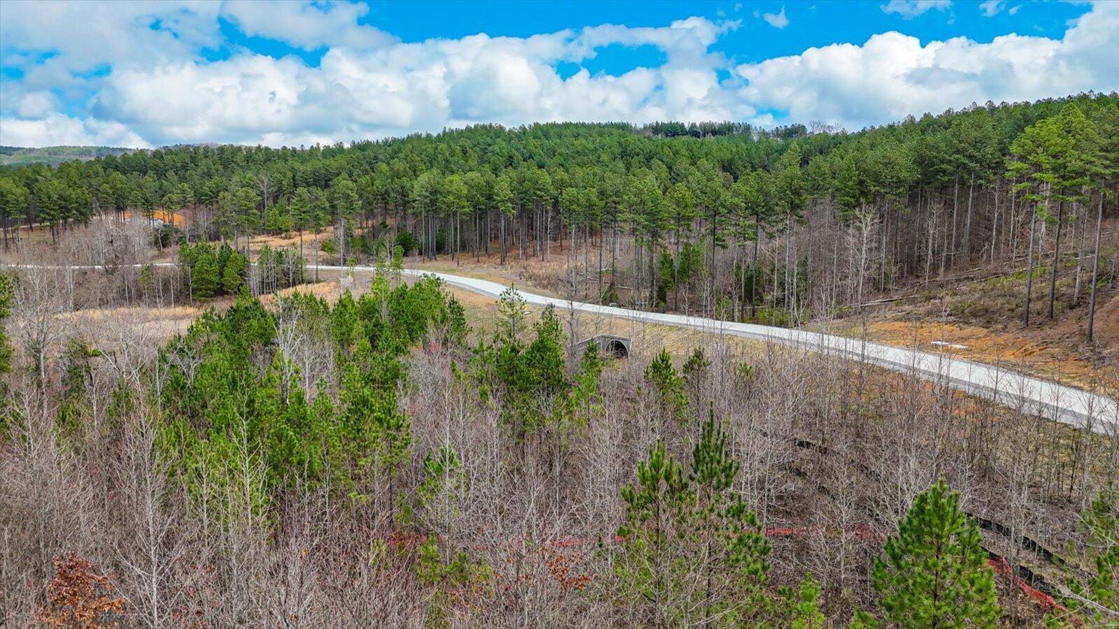 0 Birds Eye Way, Unit LOT 1065 Guild, TN 37340 - Photo 13 of 29 15-Birds Eye Way #1065-15