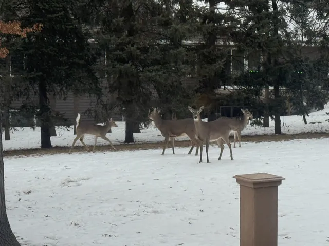 $248,900 | 1801 Rachel Drive Northeast, Alexandria, MN 56308