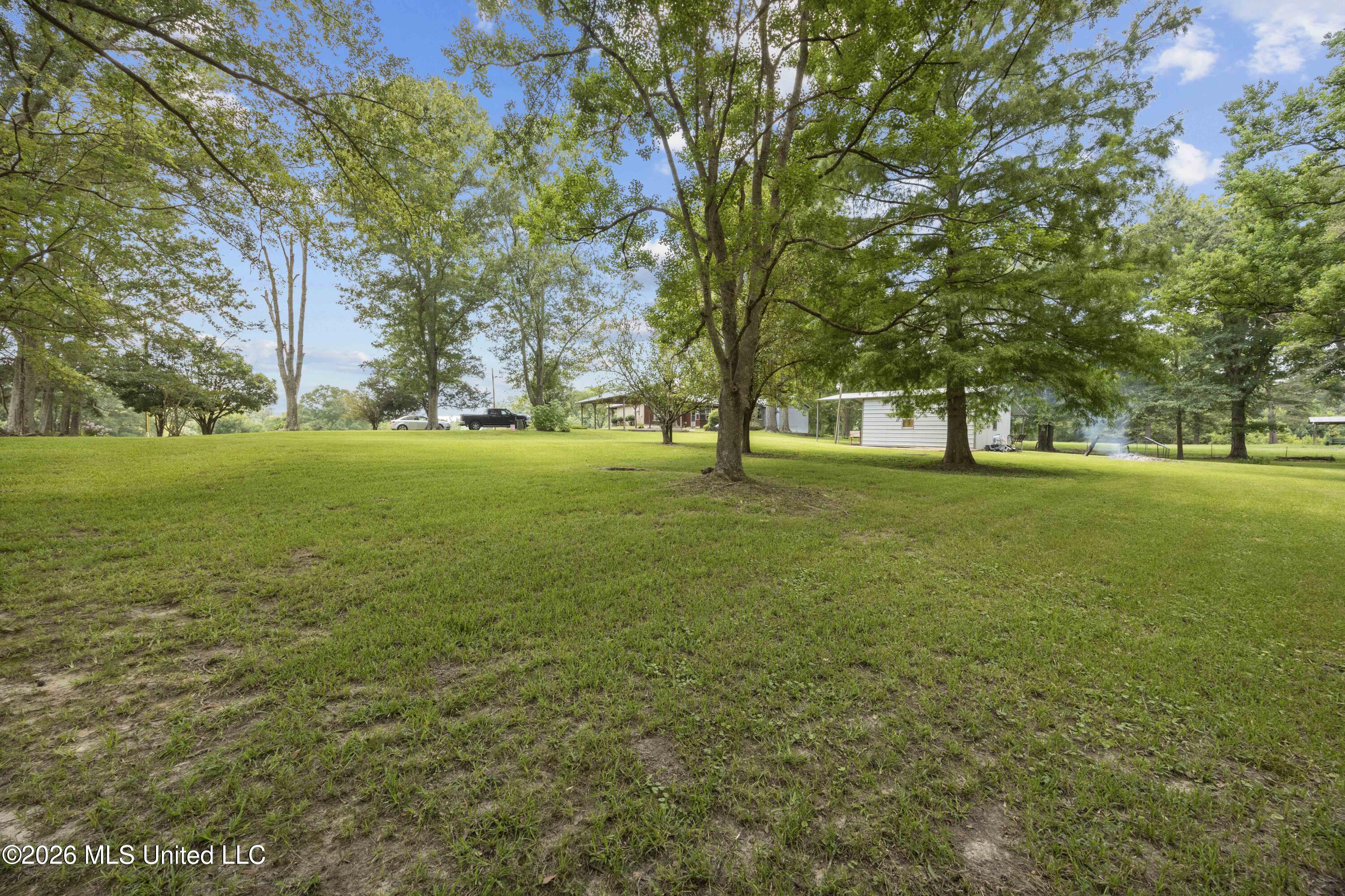 4981 Springfield Road Morton, MS 39117 - Photo 7 of 34 EOSR0336