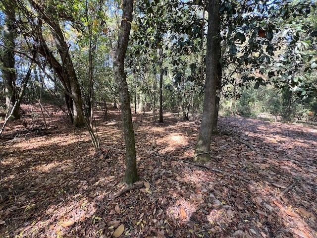 21.24-ac Union Grove Road Opp, AL 36467 - Photo 32 of 38 Gallery Image 32