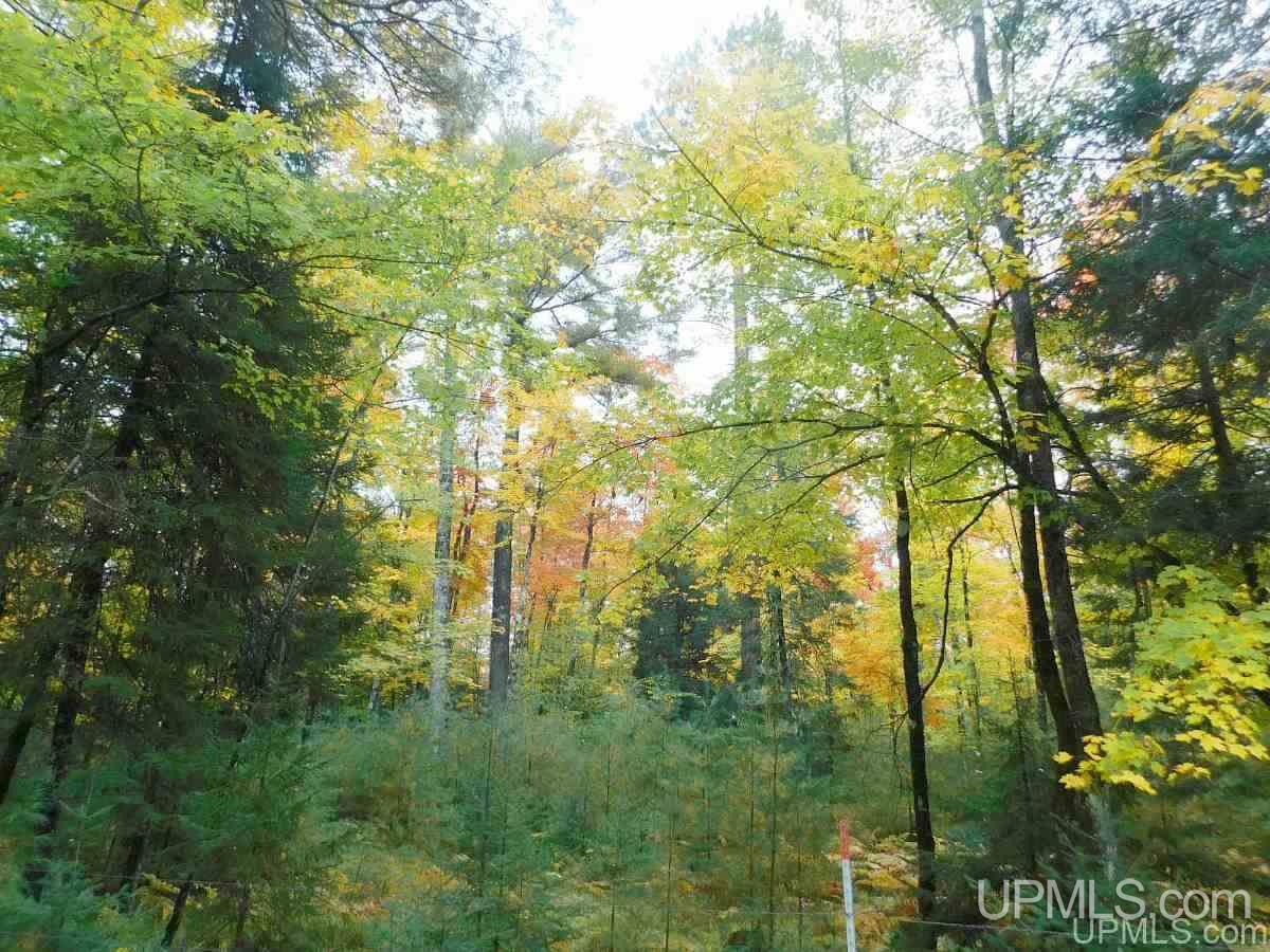 W2217 Cazzola Road Vulcan, MI 49892 - Photo 26 of 27