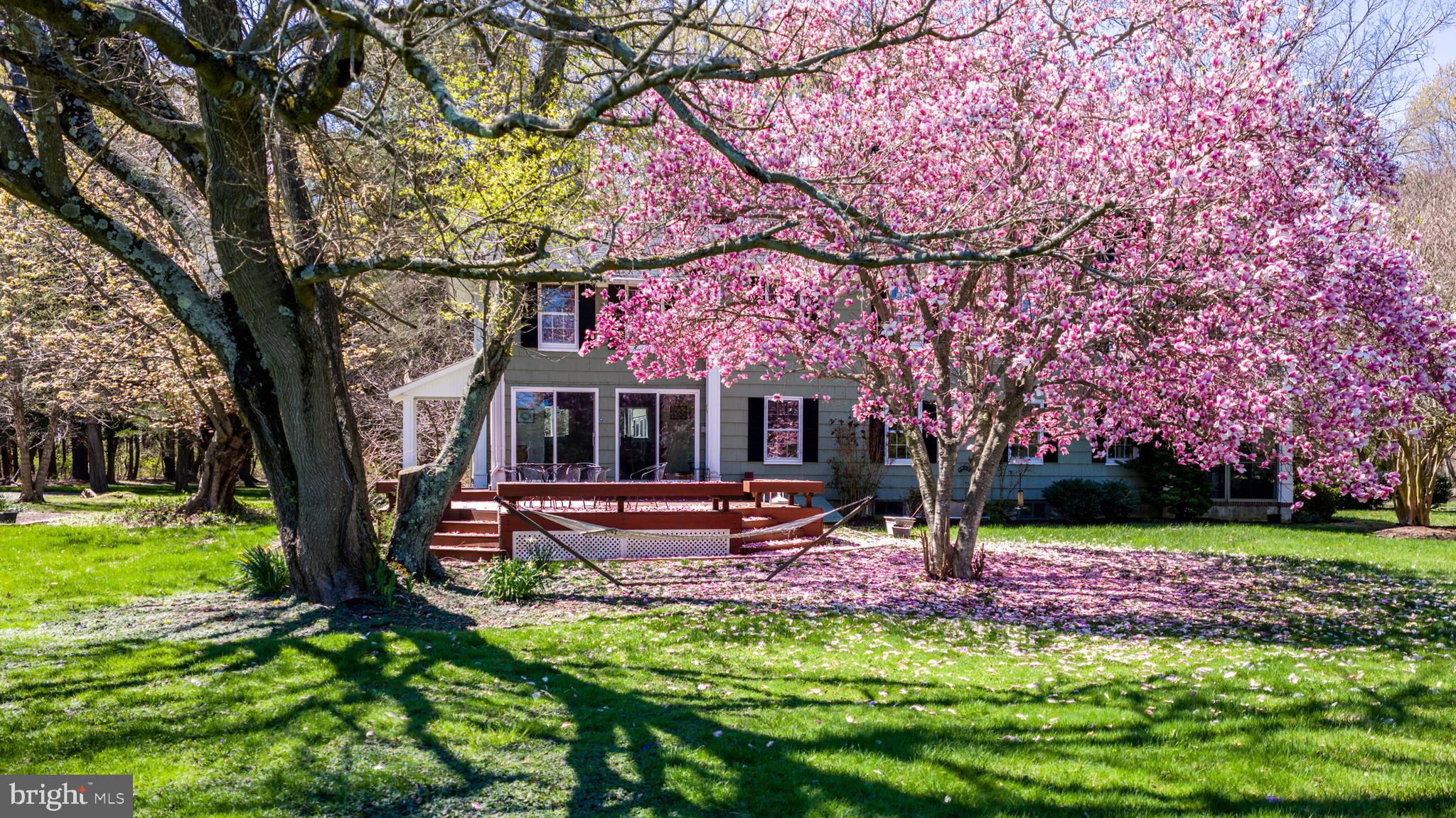 7421 Quaker Neck Road Bozman, MD 21612 - Photo 52 of 59