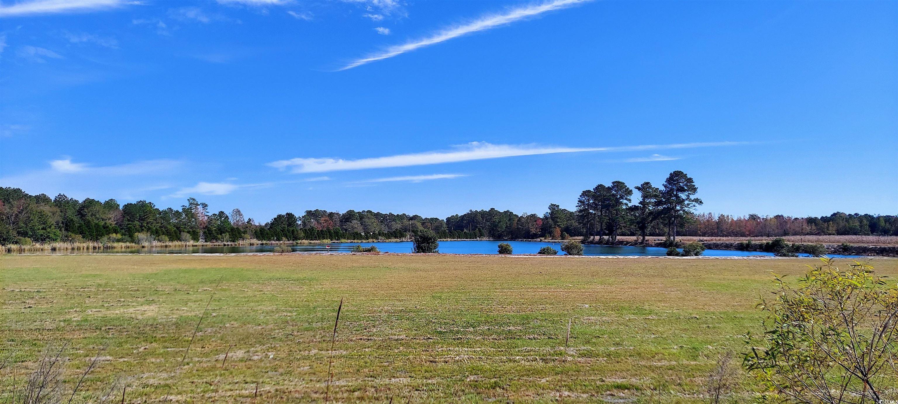 3025-3029 Fowler Road Loris, SC 29569 - Photo 1 of 6 View of green lawn featuring a water view and a wooded view
