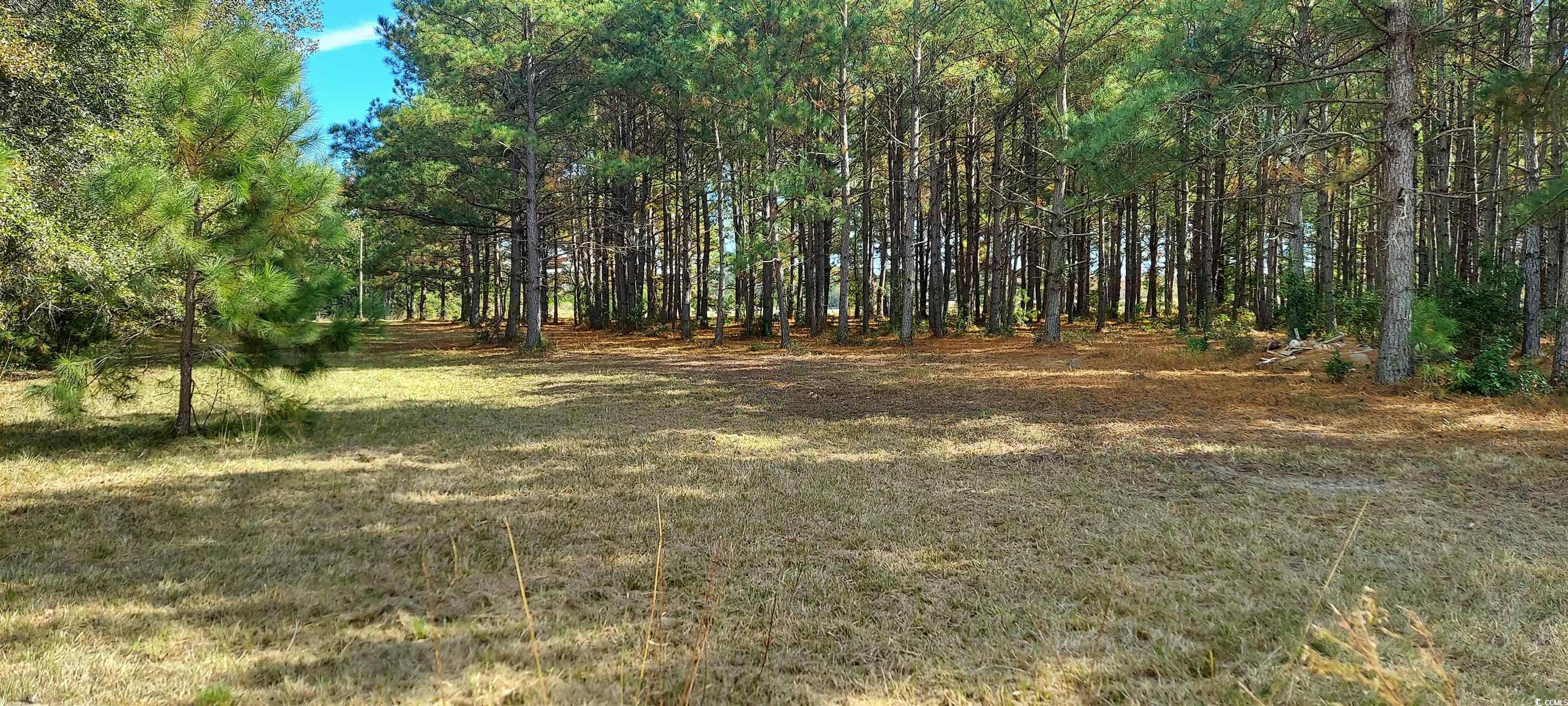 3025-3029 Fowler Road Loris, SC 29569 - Photo 3 of 6 View of yard