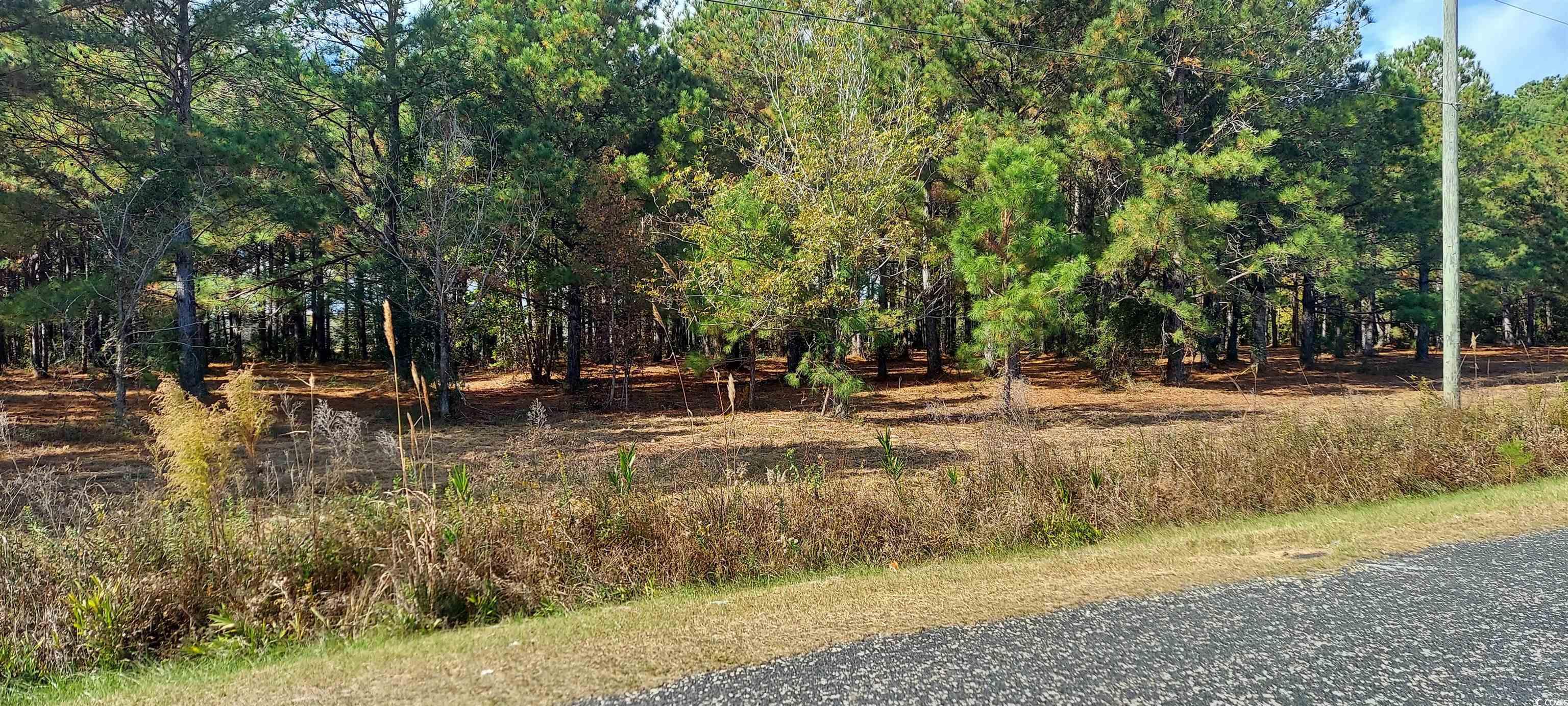 3025-3029 Fowler Road Loris, SC 29569 - Photo 4 of 6 View of asphalt road