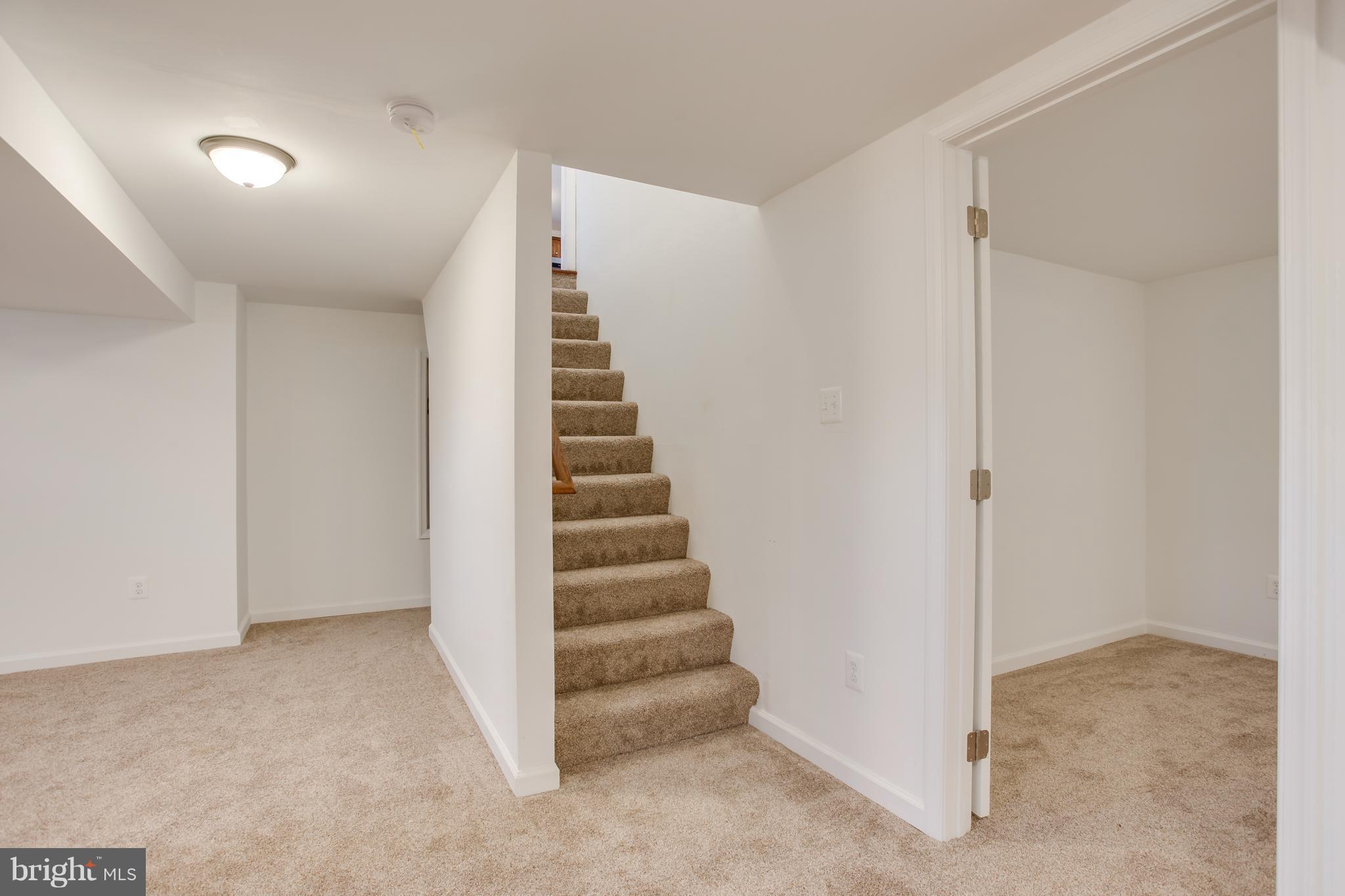 8355 Dahlgren Road King George, VA 22485 - Photo 22 of 30 Newly Finished Basement