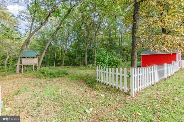 a view of a tiny house with a yard