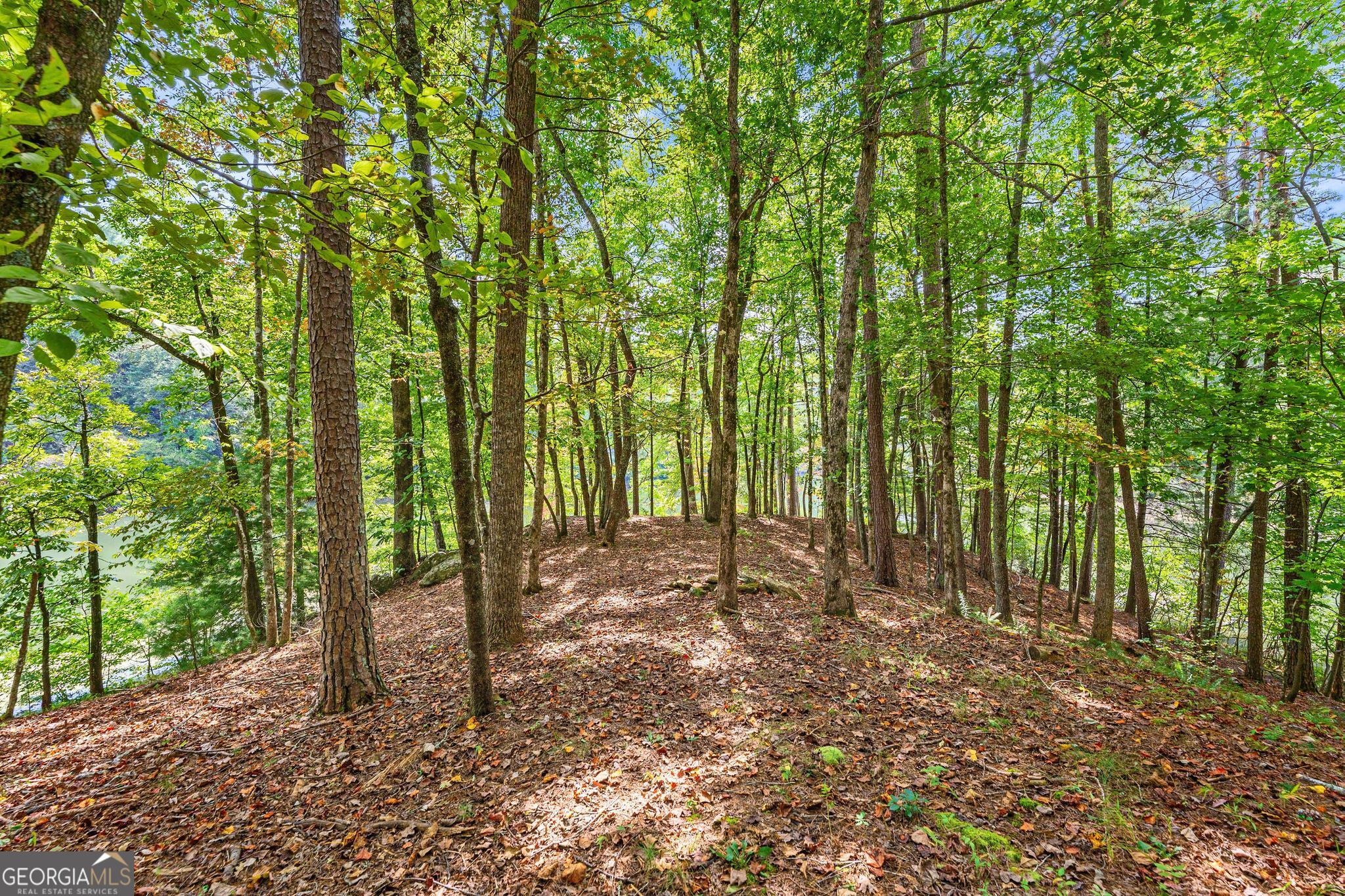 1127 Sautee Trail Sautee Nacoochee, GA 30571 - Photo 41 of 85 a view of outdoor space and yard