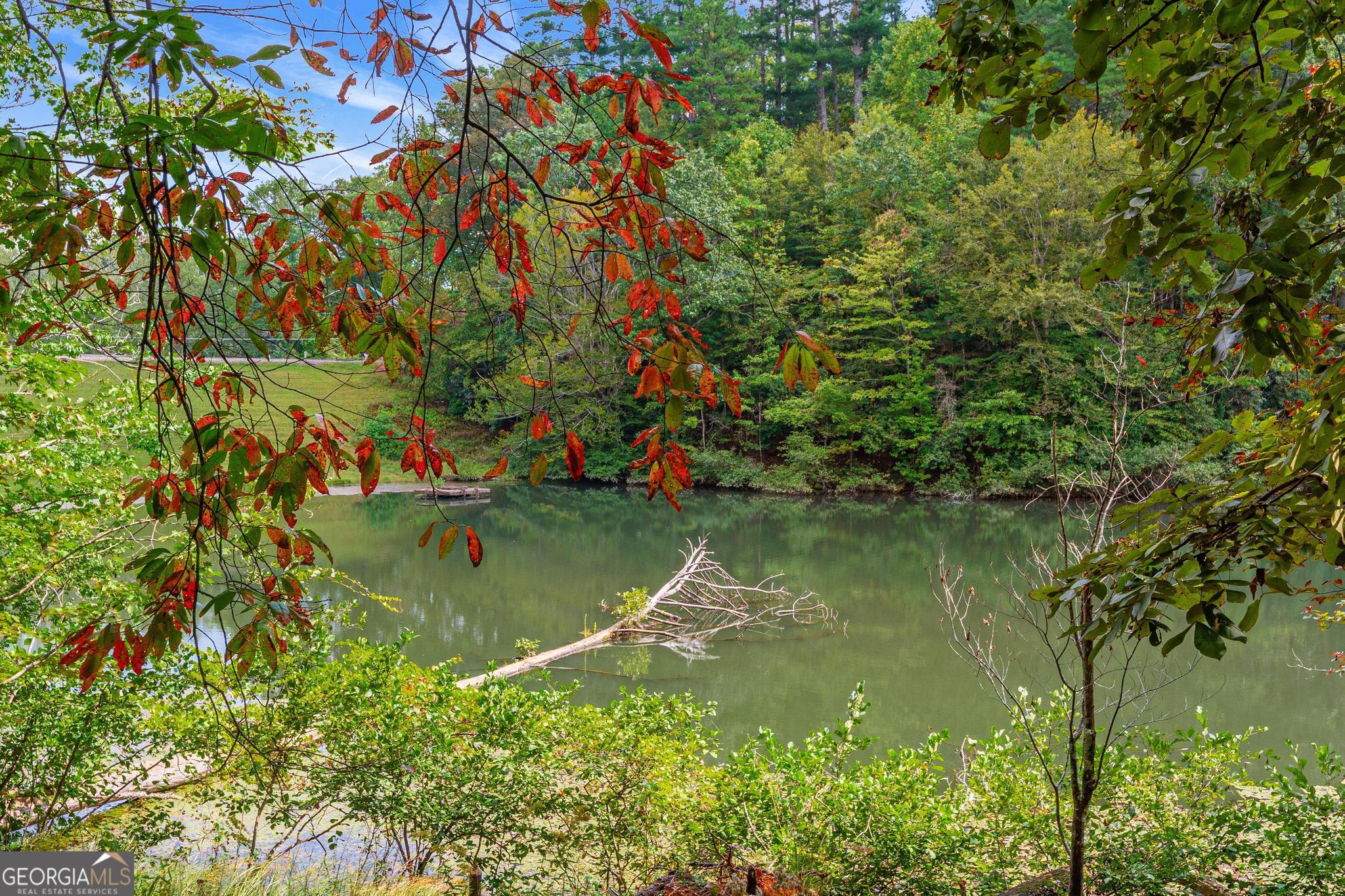 1127 Sautee Trail Sautee Nacoochee, GA 30571 - Photo 42 of 85 a view of a lake from a garden