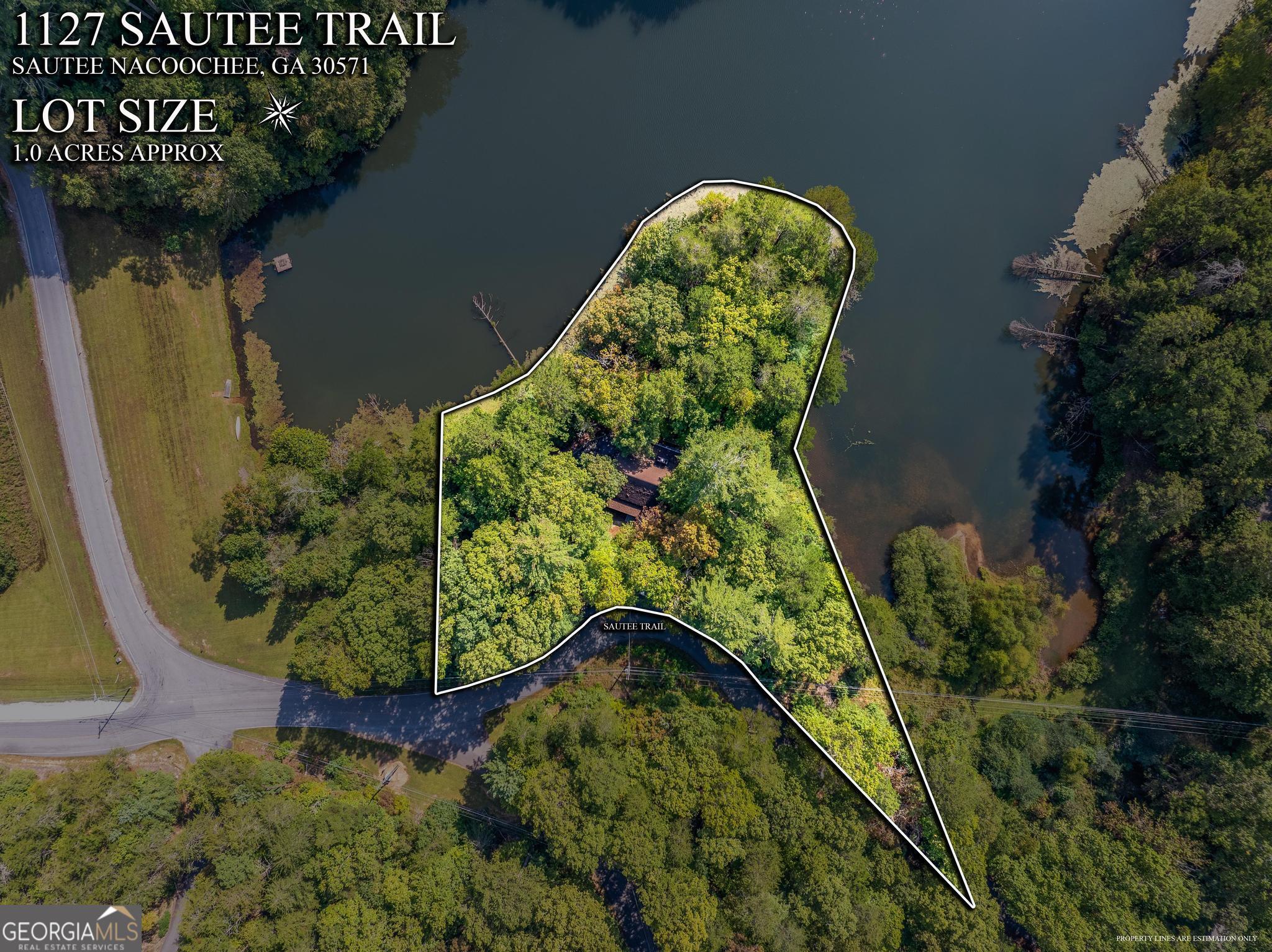 1127 Sautee Trail Sautee Nacoochee, GA 30571 - Photo 45 of 85 a view of a garden