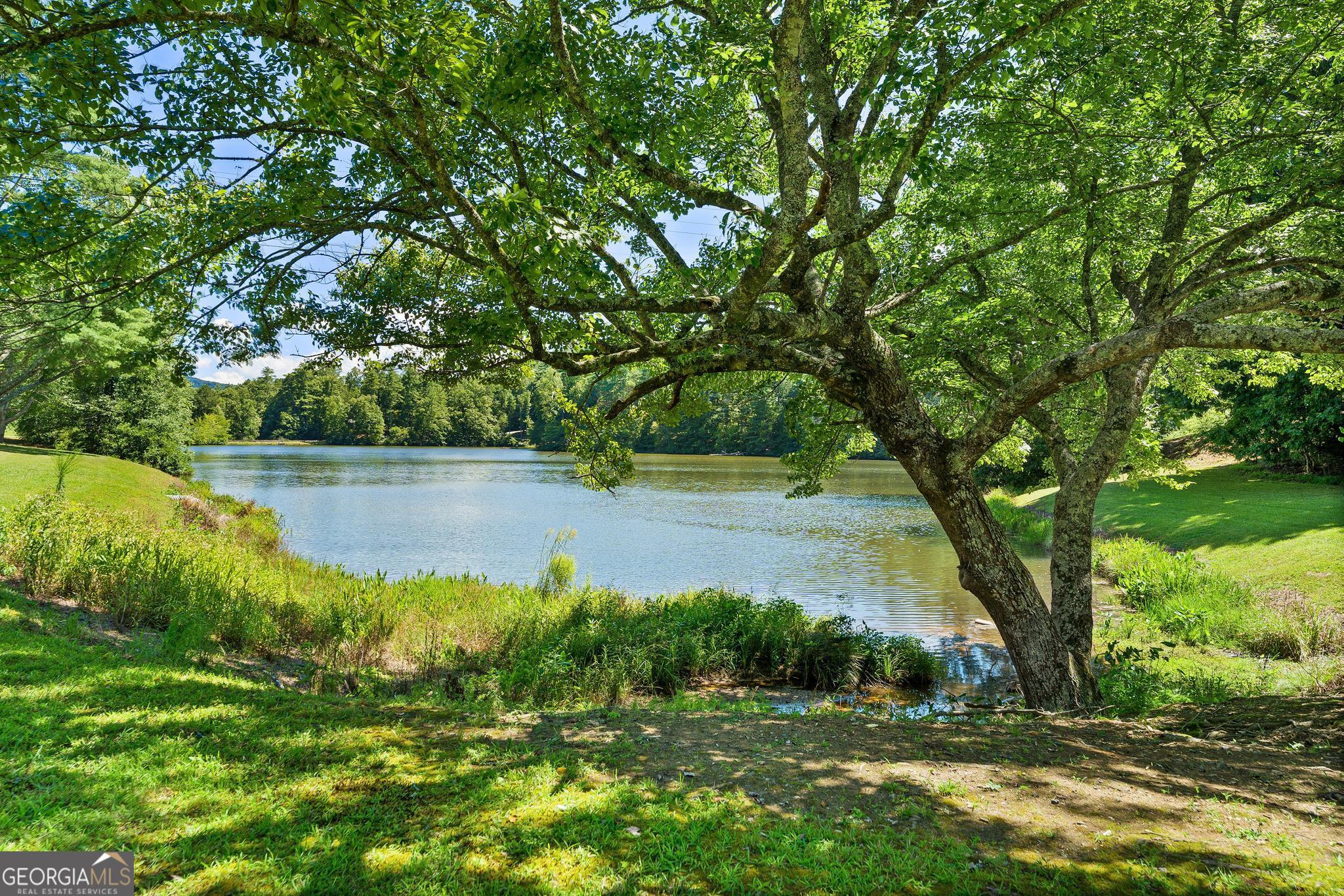 1127 Sautee Trail Sautee Nacoochee, GA 30571 - Photo 53 of 85 a view of a lake with a yard