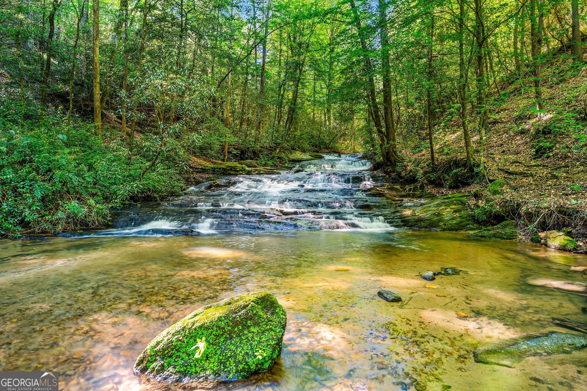 1127 Sautee Trail Sautee Nacoochee, GA 30571 - Photo 56 of 85