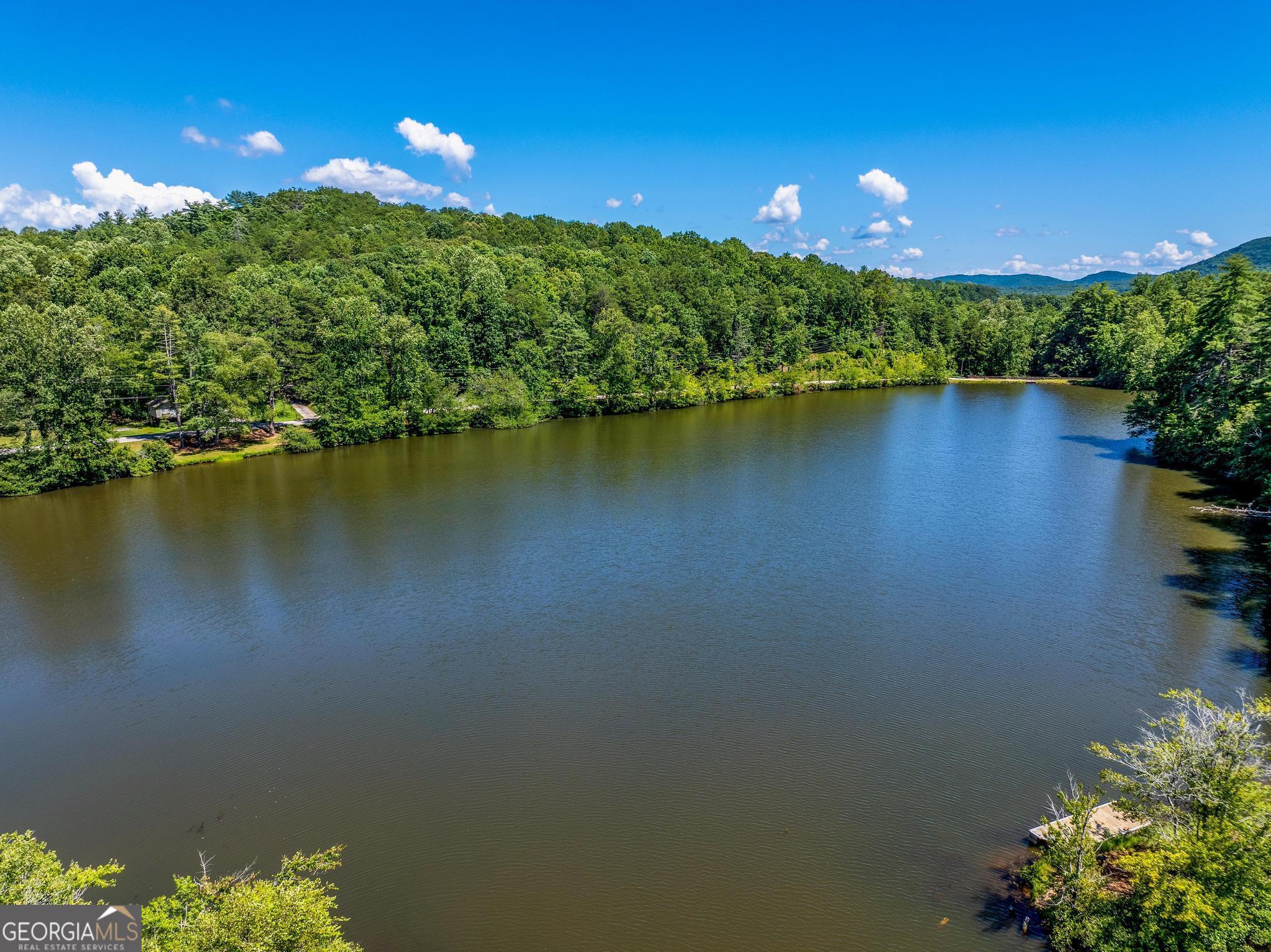 1127 Sautee Trail Sautee Nacoochee, GA 30571 - Photo 57 of 85