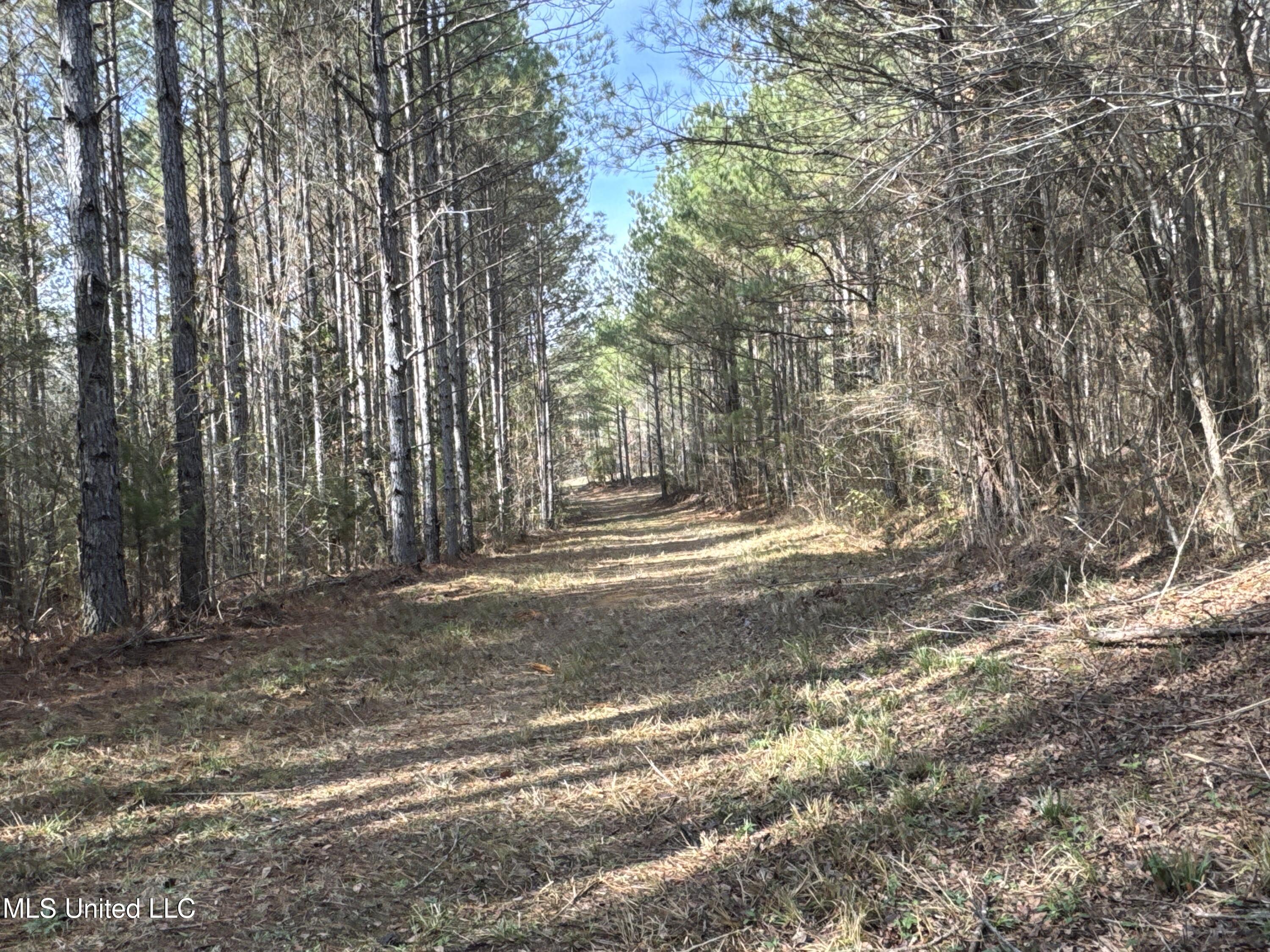 4 Whiddon Road Canton, MS 39046 - Photo 30 of 45 IMG_1643