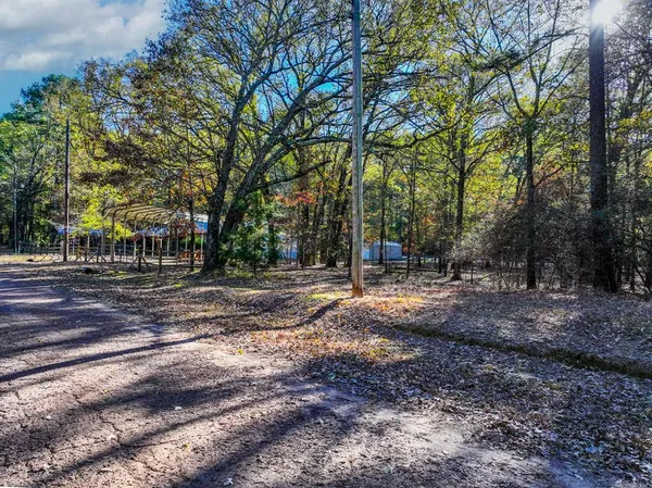a view of outdoor space with trees
