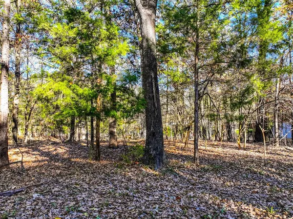 a view of an outdoor space