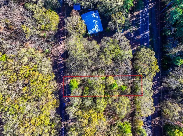 a picture of flowers