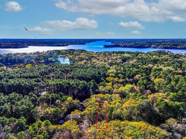 a view of a large yard with lots of green space