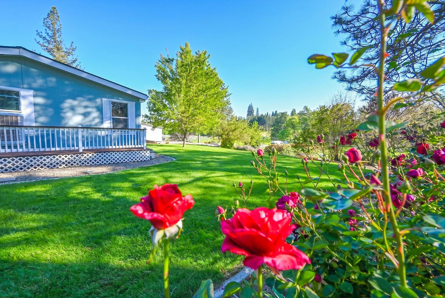 4360 Pleasant Valley Road Placerville, CA 95667 - Photo 29 of 71