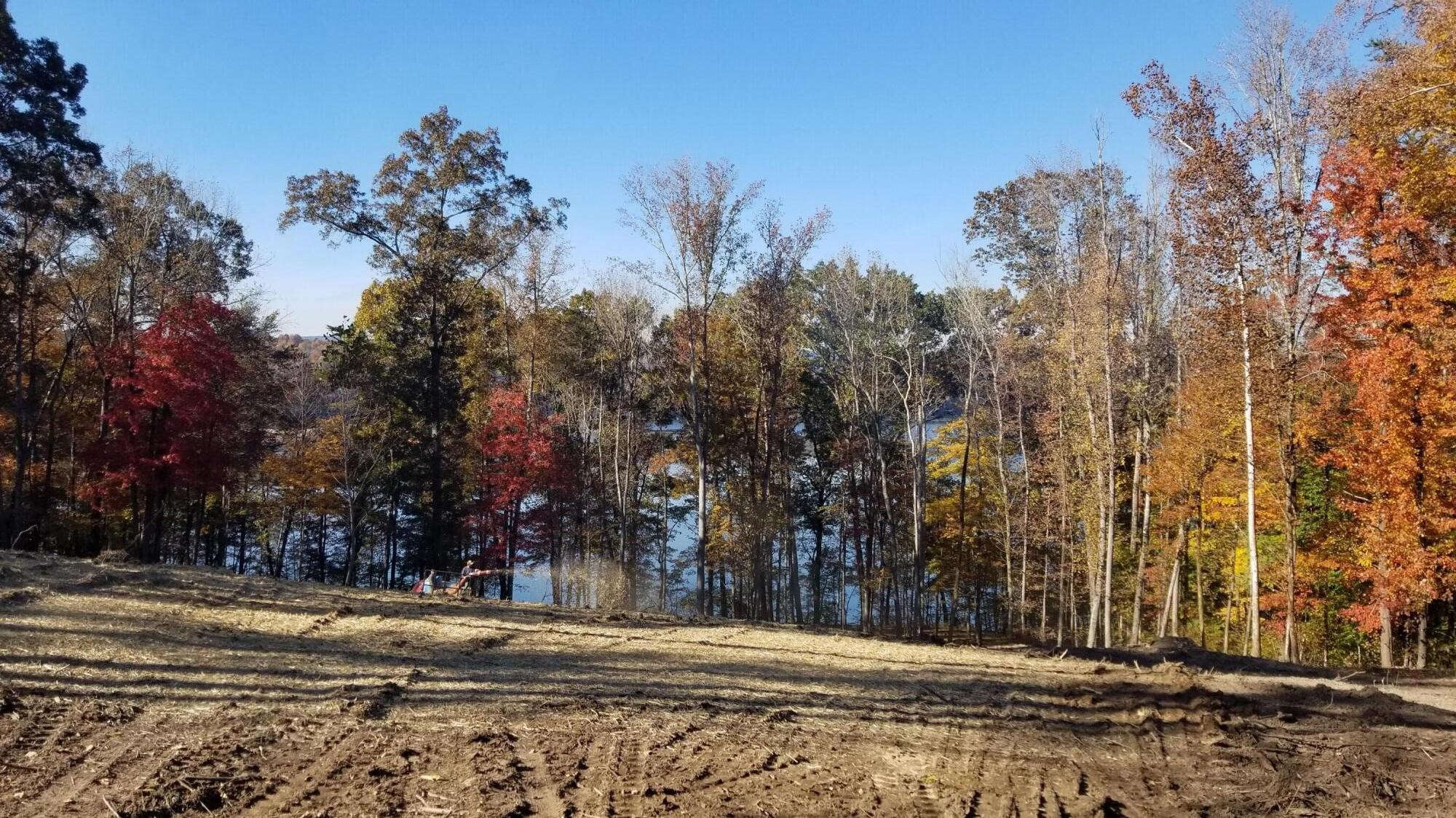 15025 May Road Sale Creek, TN 37373 - Photo 2 of 3 Gallery Image 2