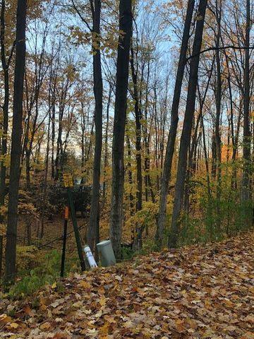 6 Guenther Ridge Gaylord, MI 49735 - Photo 12 of 12 Gallery Image 12