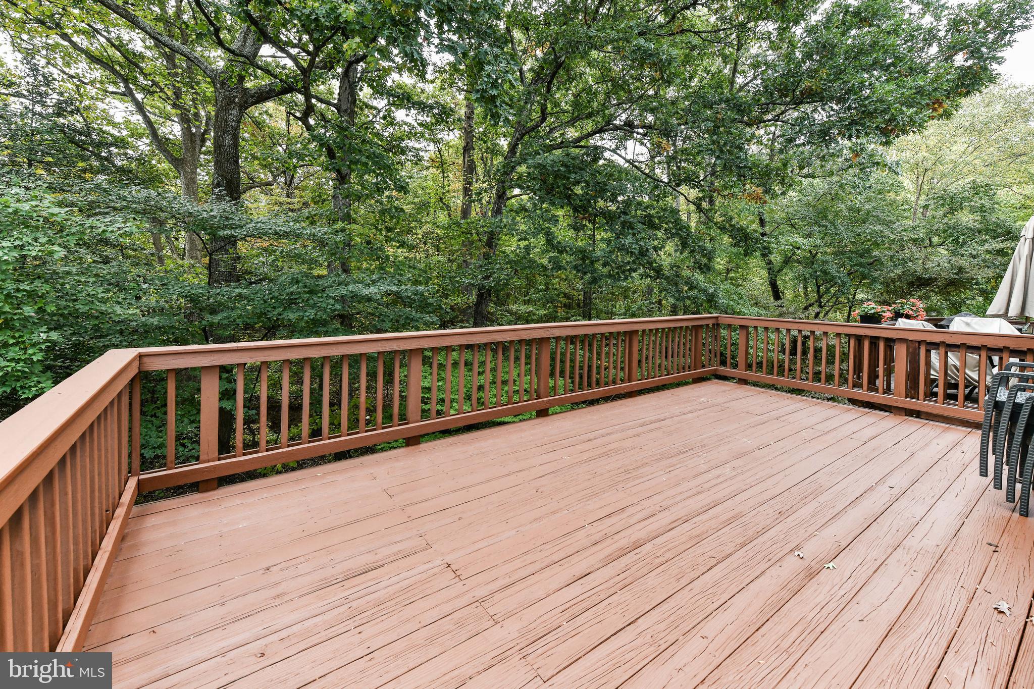11790 Great Owl Circle Reston, VA 20194 - Photo 23 of 54 Beautiful outdoor views right off the main level!