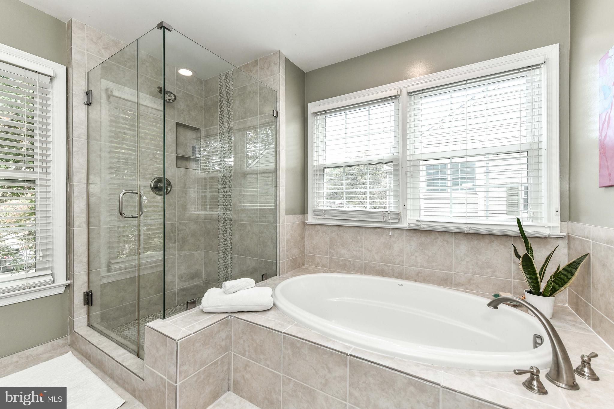 11790 Great Owl Circle Reston, VA 20194 - Photo 29 of 54 Huge shower and soaking tub!