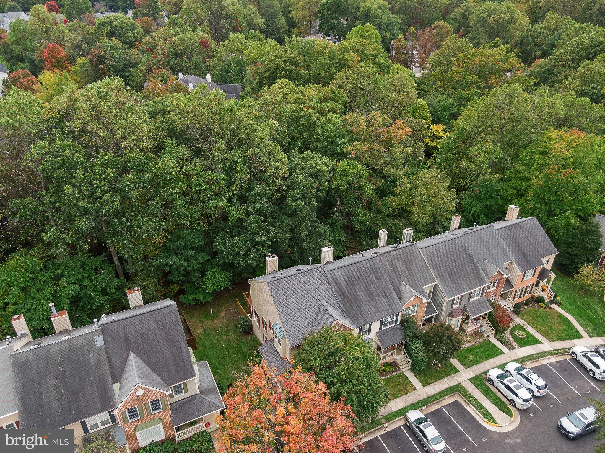 11790 Great Owl Circle Reston, VA 20194 - Photo 52 of 54