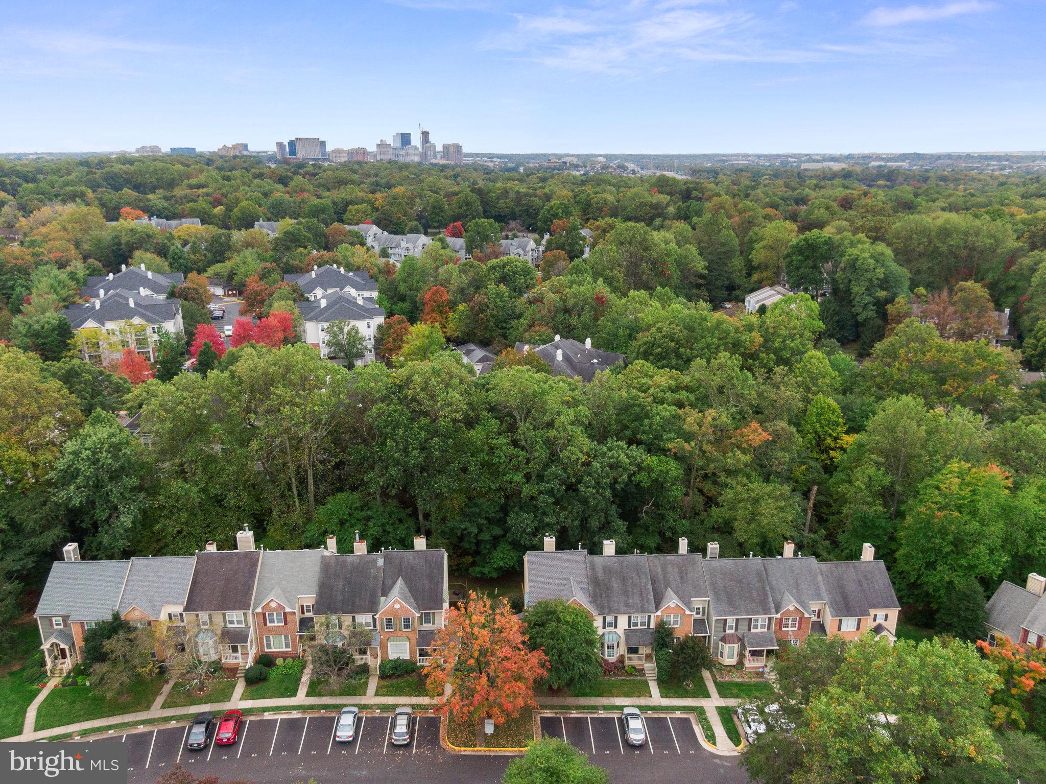 11790 Great Owl Circle Reston, VA 20194 - Photo 53 of 54