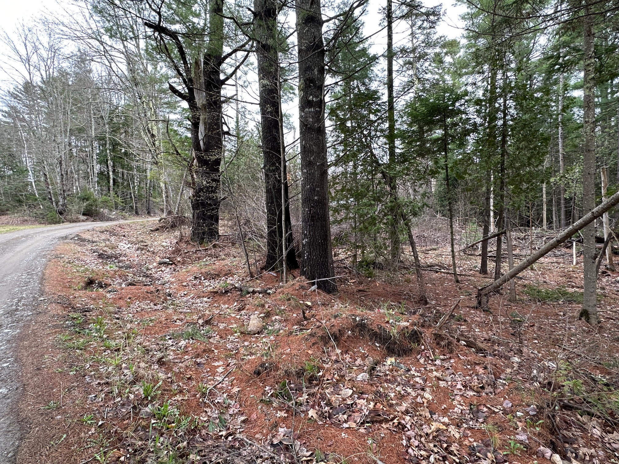 177 Pitcher Road Belfast, ME 04915 - Photo 16 of 19 4