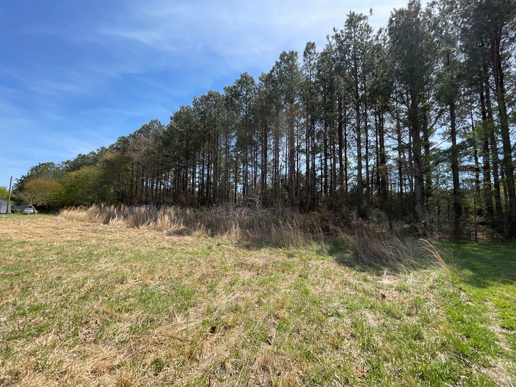 1.36 Occohannock Neck Road, Unit 1011 Exmore, VA 23350 - Photo 12 of 14