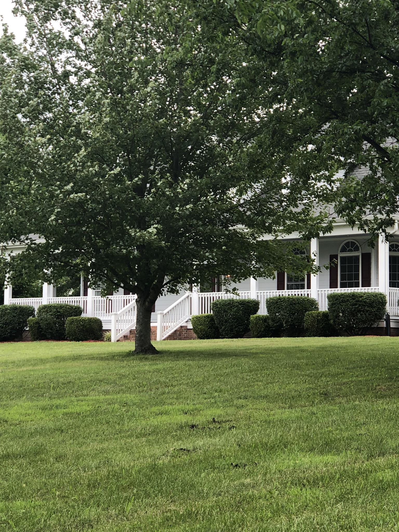 5141 Minnis Road Springfield, TN 37172 - Photo 26 of 27 Bring your horses! There is plenty of space for your equine family to roam!!