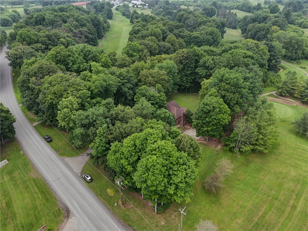 1398 Brace Road Victor, NY 14564 - Photo 38 of 38