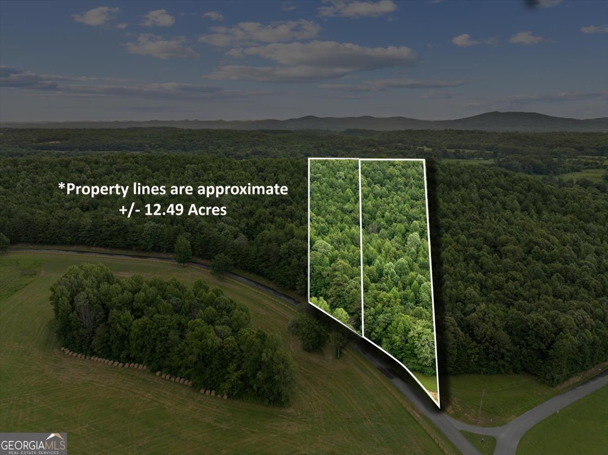 0 Fricks Gap Road, Unit LOT #4 Chickamauga, GA 30707 - Photo 13 of 13