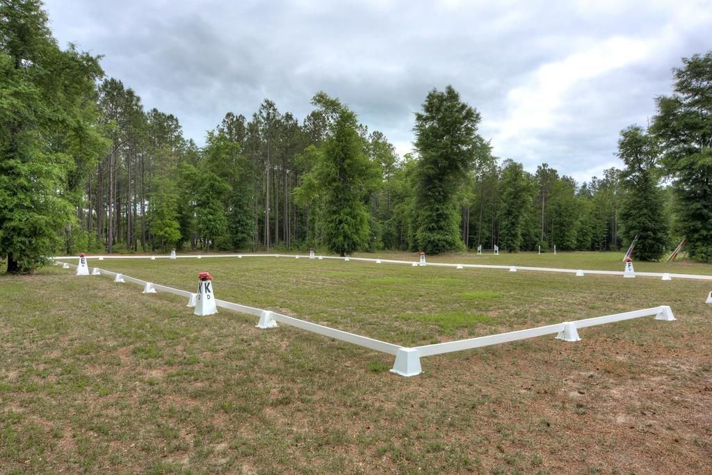 265 4 Oaks Road Wagener, SC 29164 - Photo 28 of 35