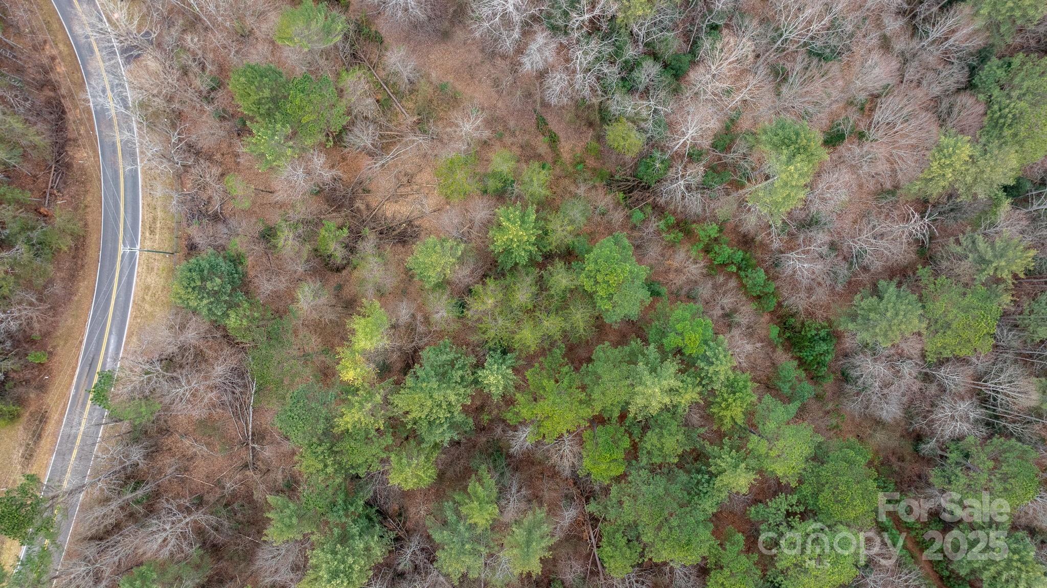 4753 John Berry Road Valdese, NC 28690 - Photo 15 of 28 a view of a lush green forest with lots of trees