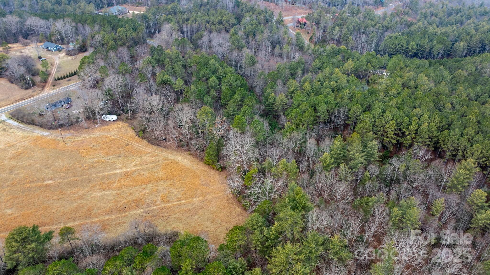 4753 John Berry Road Valdese, NC 28690 - Photo 19 of 28 a view of a yard with plants and large trees