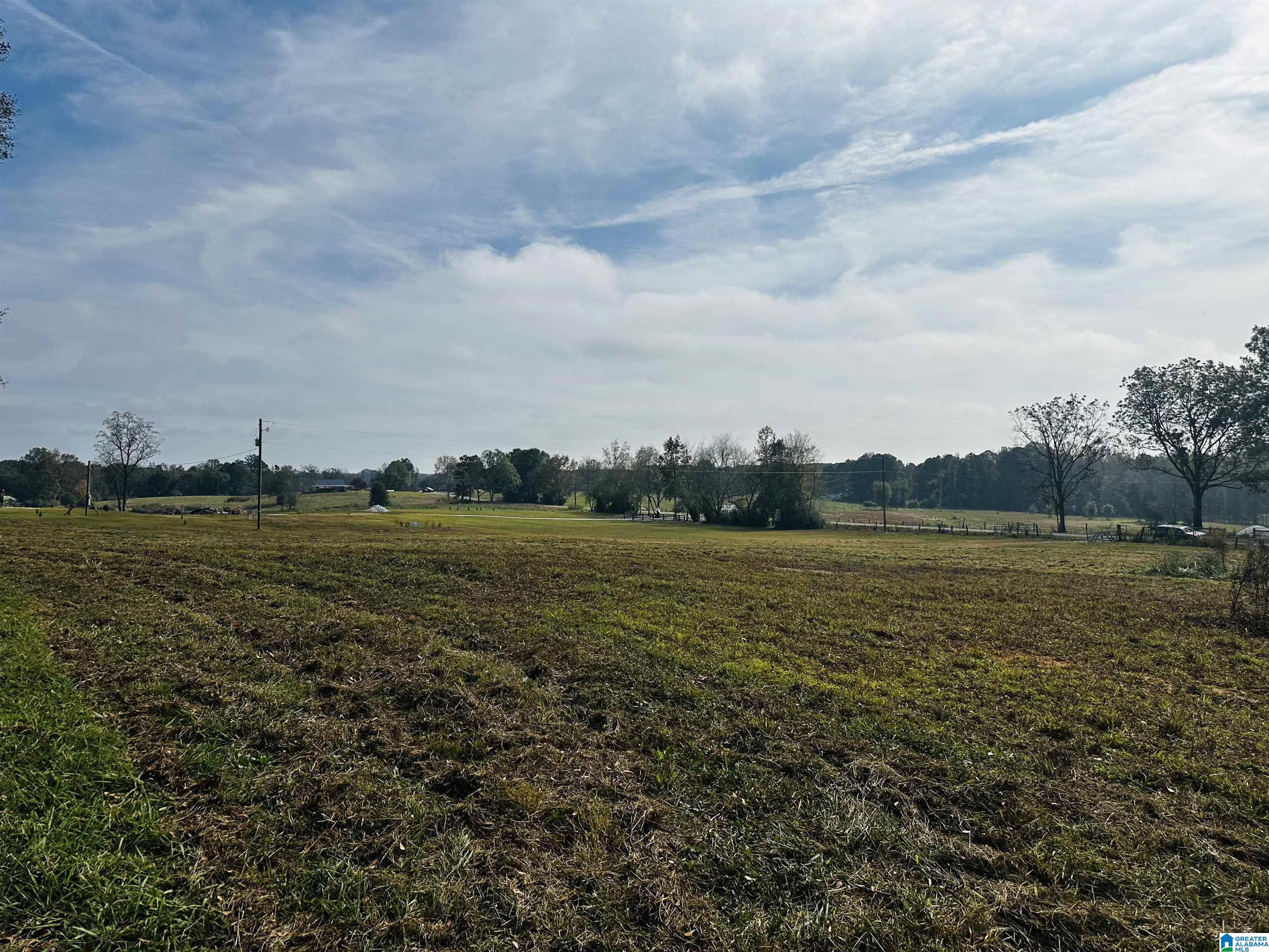 1721 McVey Road Lineville, AL 36266 - Photo 9 of 12