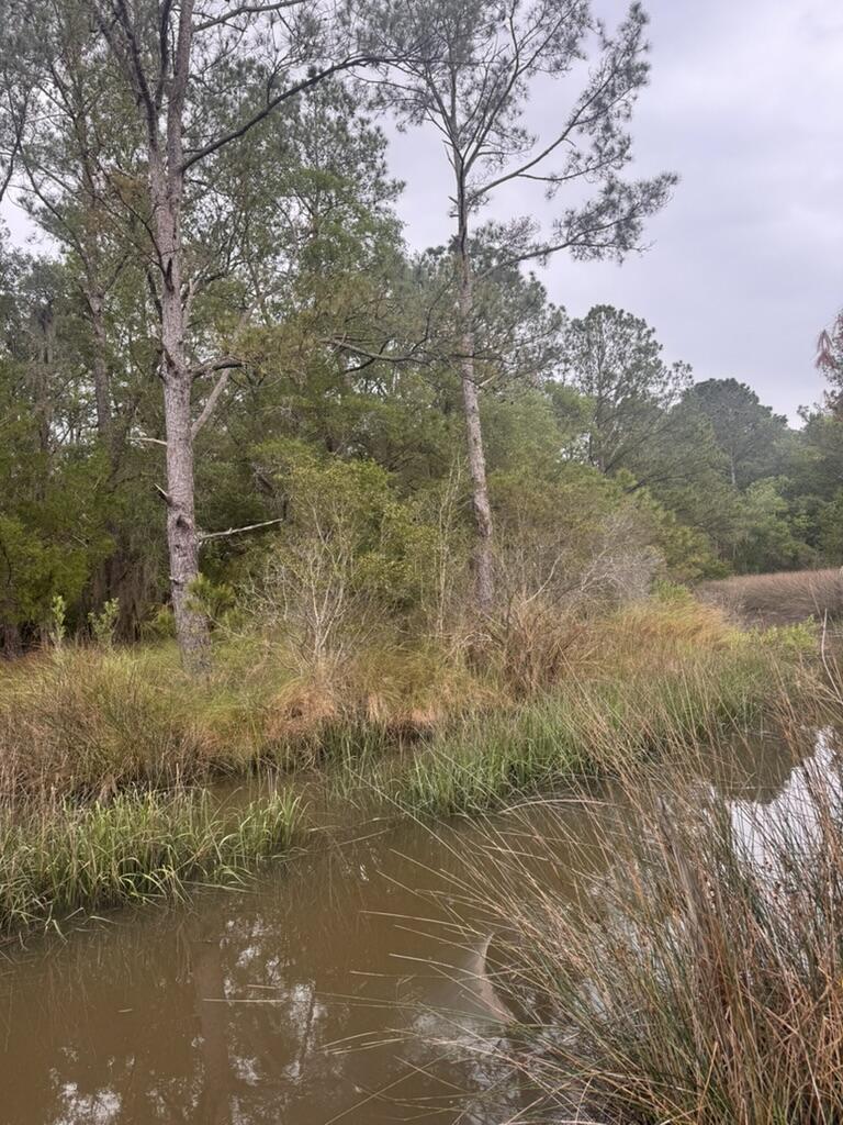 15014 Bennetts Point Road Green Pond, SC 29446 - Photo 34 of 53 465BFDD8-78BF-401C-BFCD-96453CBD2225_1_1