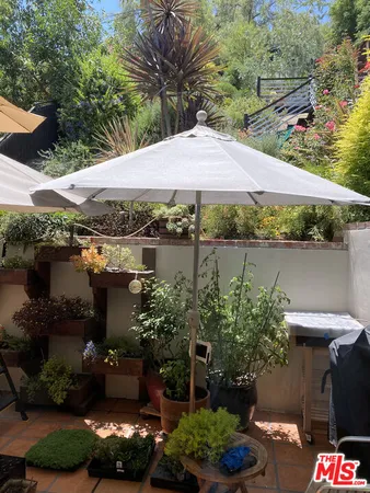 a view of a backyard with plants and a patio