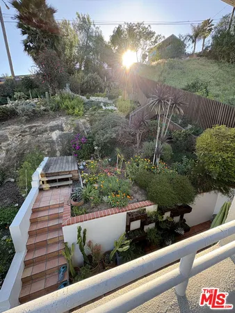 a view of a garden with plants