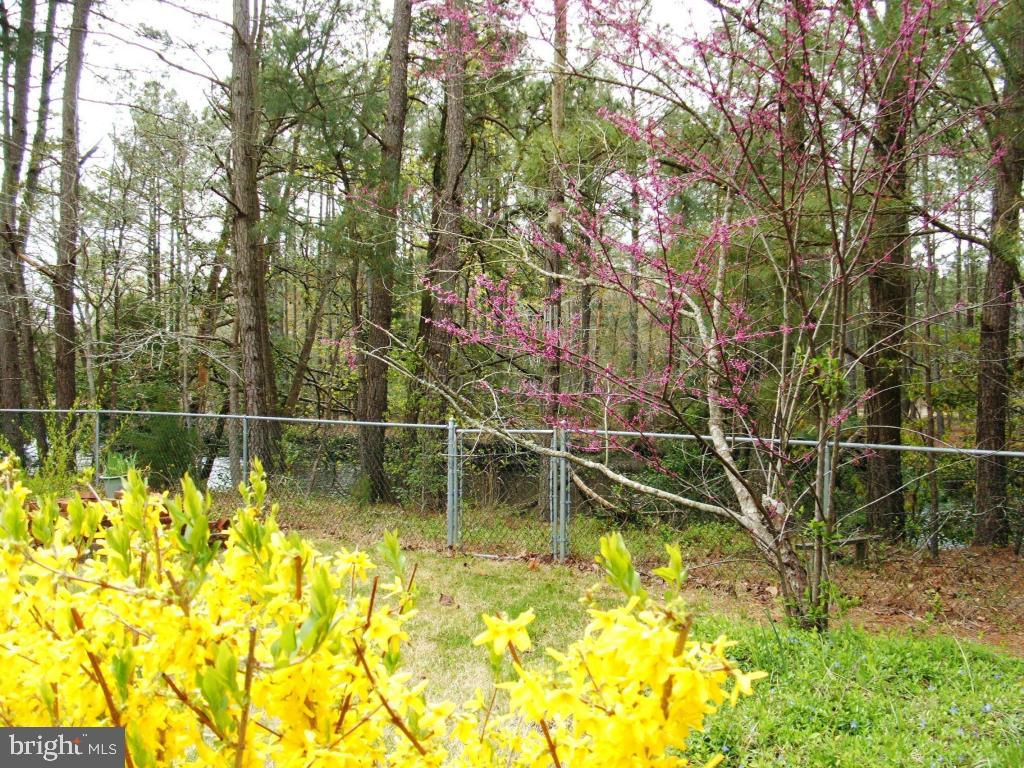 9432 Cropper Island Road Newark, MD 21841 - Photo 34 of 35