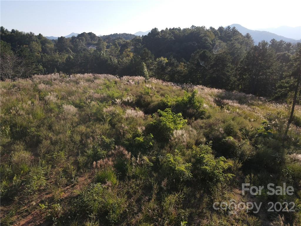 999999 Alexander Road Leicester, NC 28748 - Photo 7 of 13 a view of a mountain