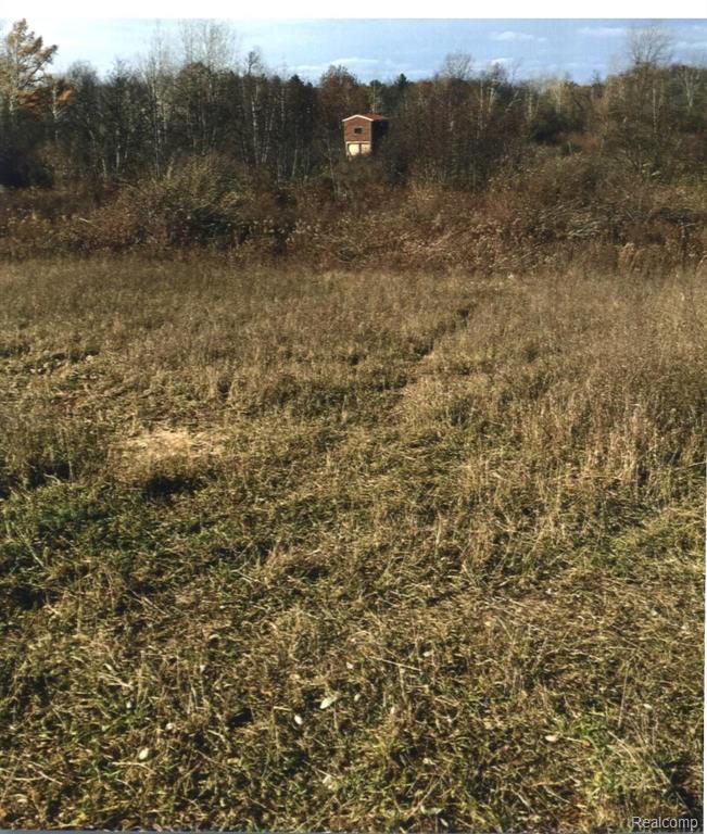 0 Washburn Road Millington, MI 48746 - Photo 13 of 61