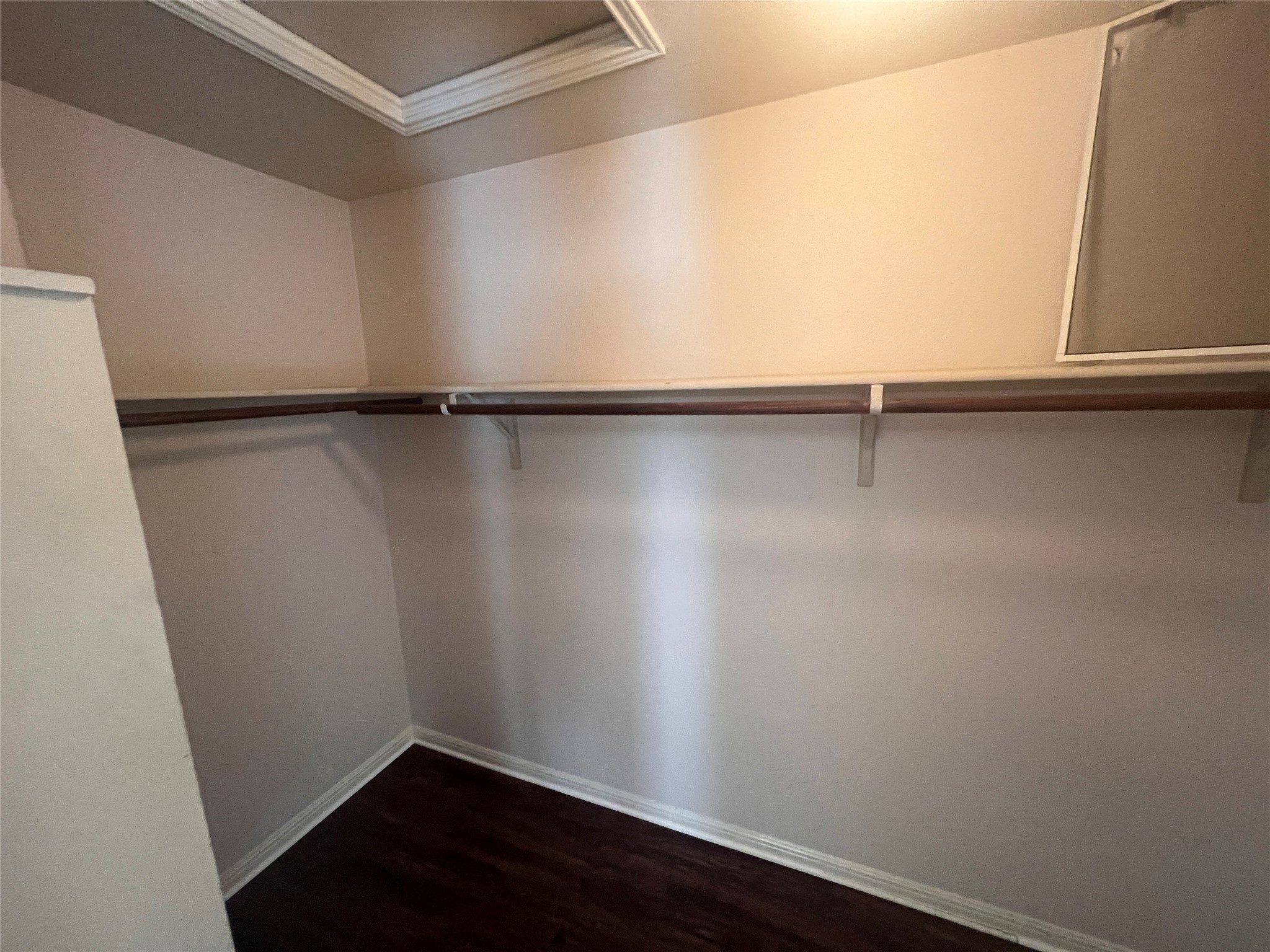 476 Nottingham Loop Kyle, TX 78640 - Photo 20 of 29 a view of a room with shelf