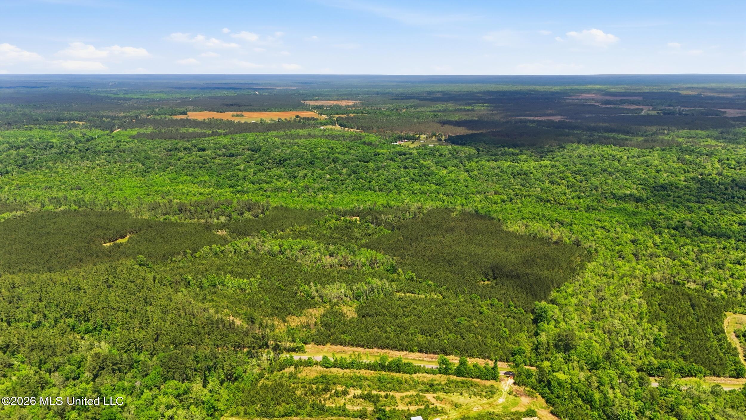 Vestry Road Perkinston, MS 39573 - Photo 23 of 35 dji_20260416134817_0602_d