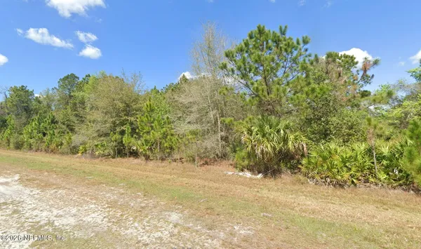 a view of a yard with a tree
