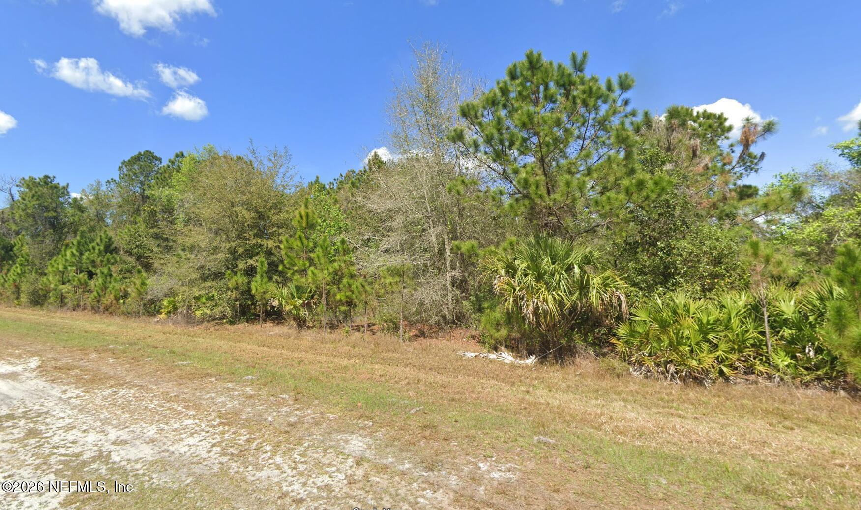 a view of a yard with a tree