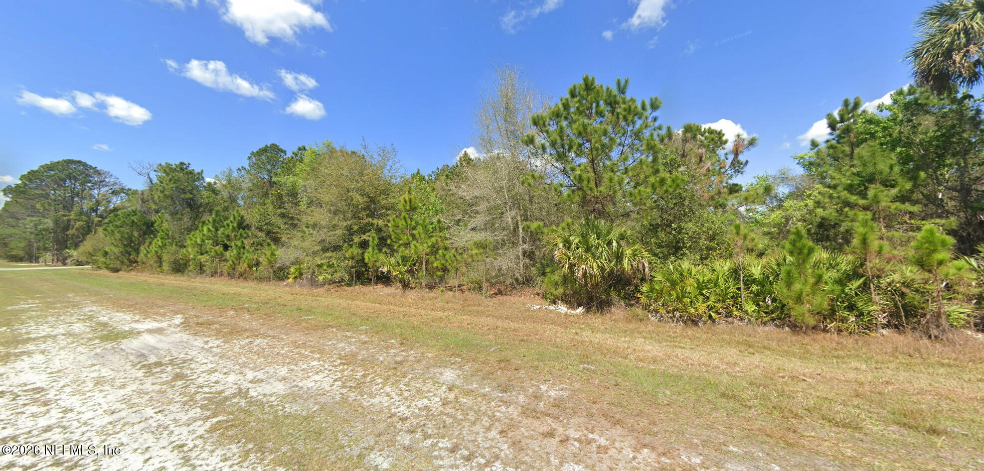 504 Gardenia Avenue Georgetown, FL 32139 - Photo 2 of 6 a view of a yard with a tree